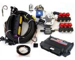 Stag 300-6 QMAX Plus (   Artic,  Valtek)- 264 ..(www.stag.kiev.ua)